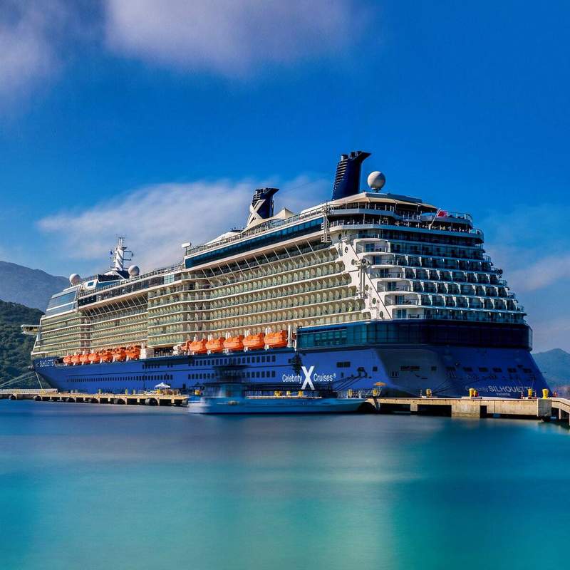 Celebrity Silhouette Built and Renovated Infographic
