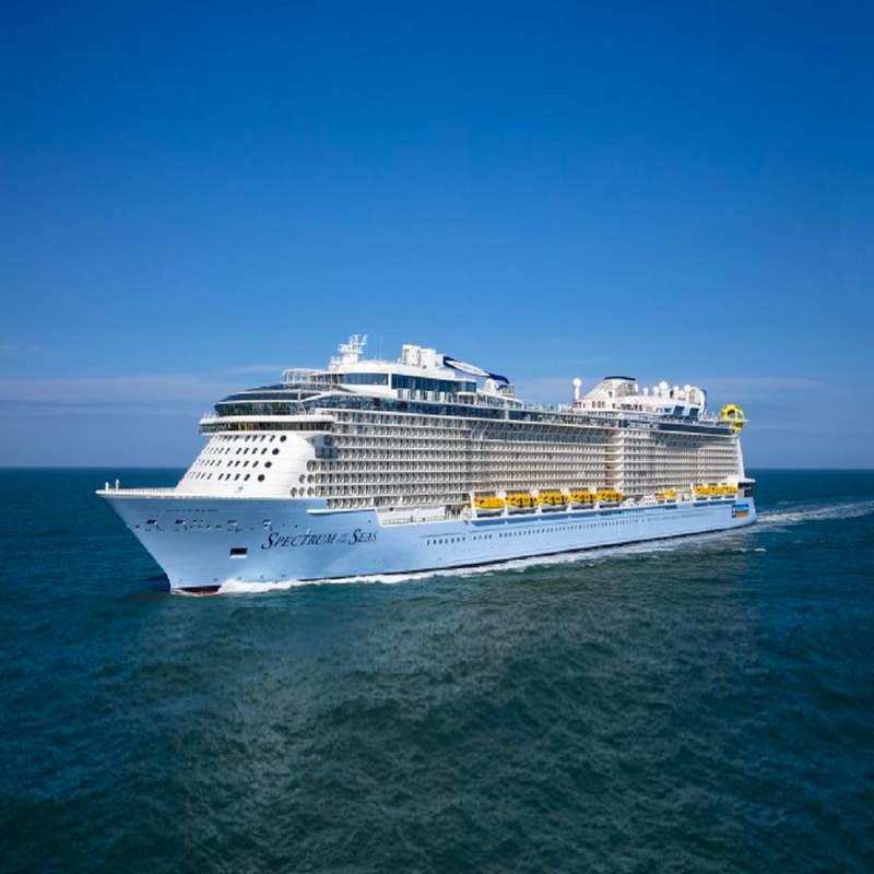 Spectrum of the Seas Built and Renovated Infographic